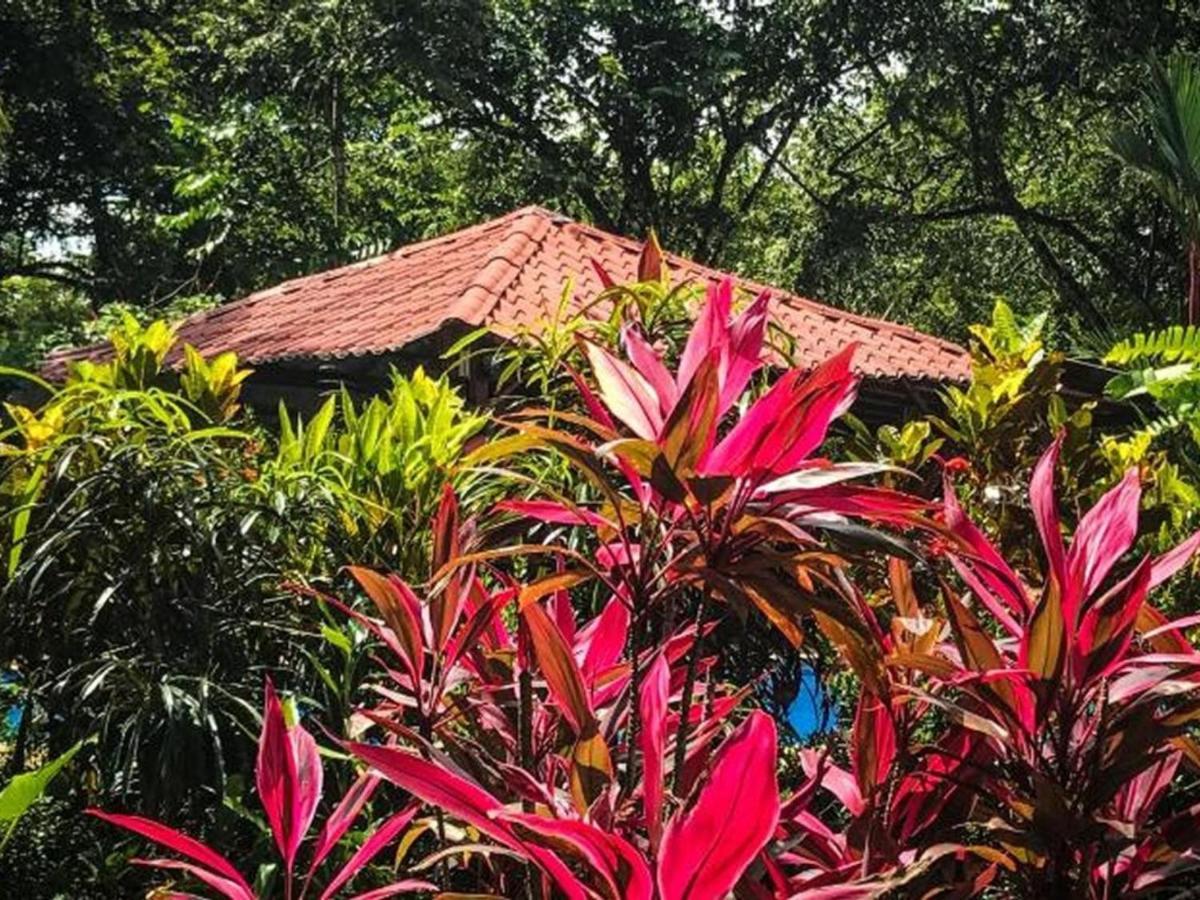 Casa Colores Монтесума Екстер'єр фото