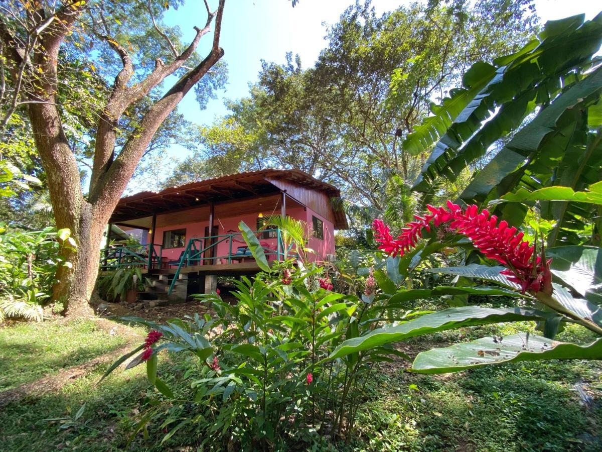 Casa Colores Монтесума Екстер'єр фото