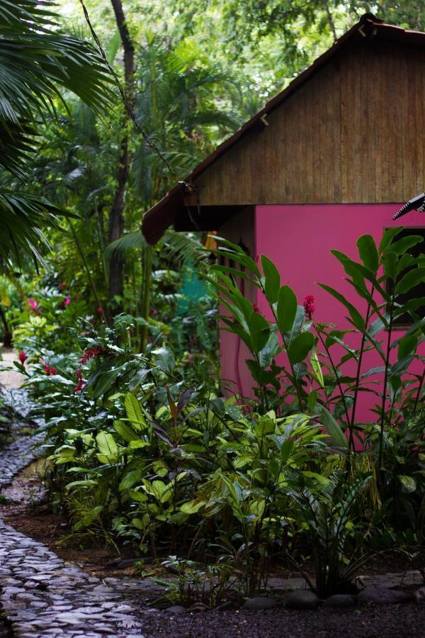 Casa Colores Монтесума Екстер'єр фото